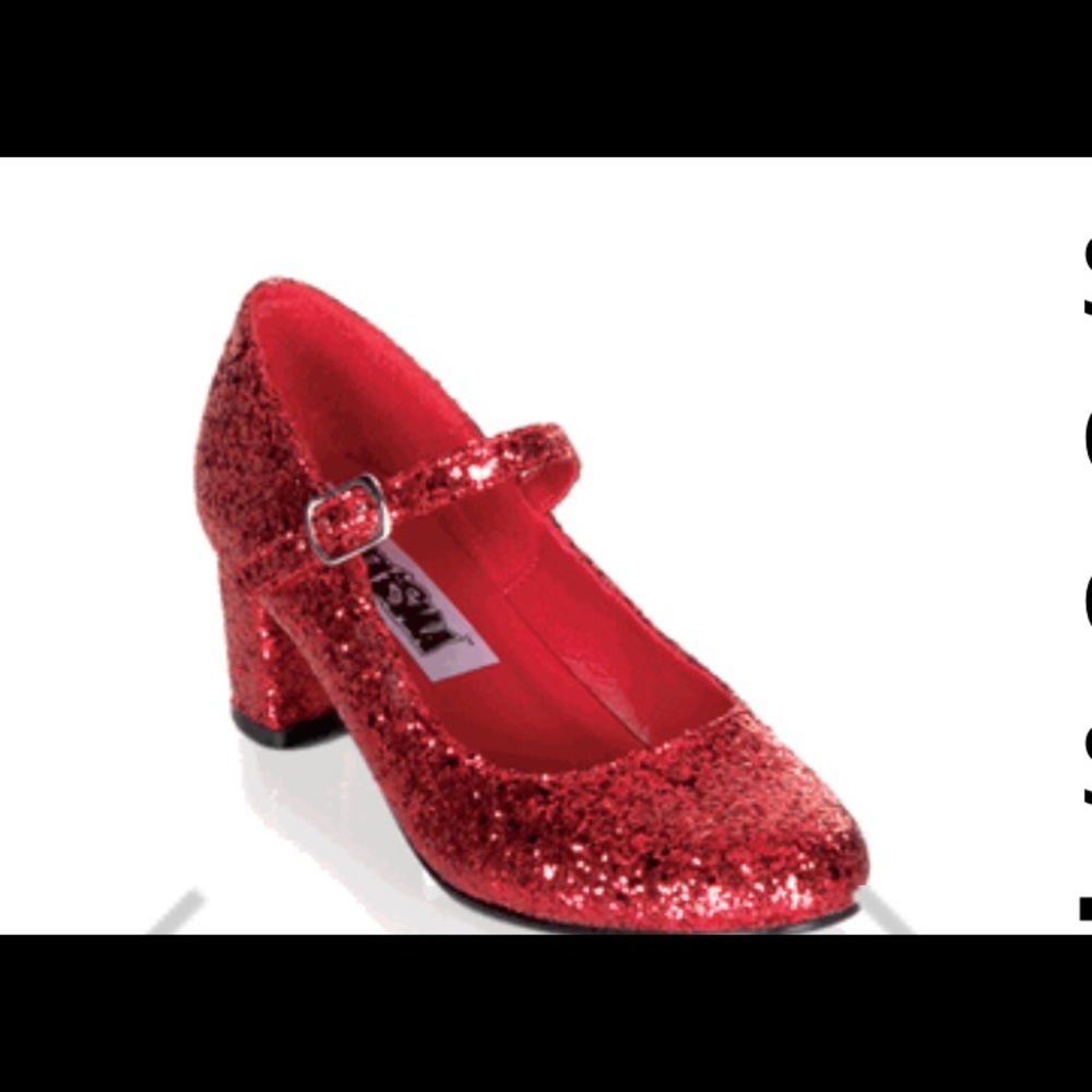 Dorothy Halloween costume accessories